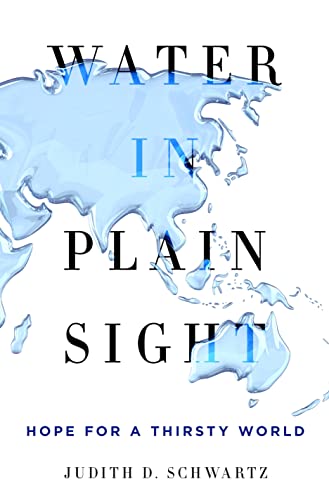 Beispielbild fr Water in Plain Sight : Hope for a Thirsty World zum Verkauf von Better World Books