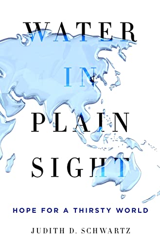 Stock image for Water in Plain Sight : Hope for a Thirsty World for sale by Better World Books