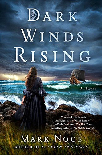 Beispielbild fr Dark Winds Rising: A Novel (Queen Branwen, 2) zum Verkauf von SecondSale