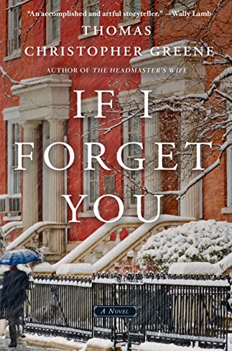 Beispielbild fr If I Forget You: A Novel zum Verkauf von SecondSale