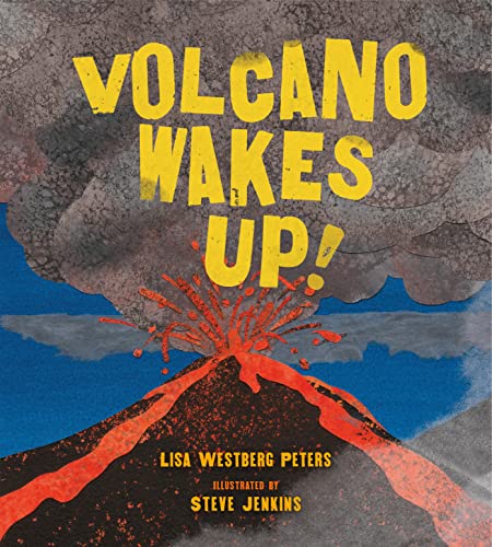 Stock image for Volcano Wakes Up! for sale by SecondSale
