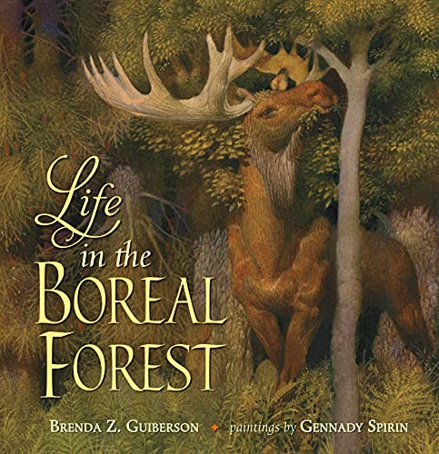 Beispielbild fr Life in the Boreal Forest zum Verkauf von WorldofBooks