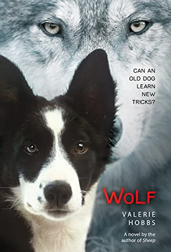 Imagen de archivo de Wolf a la venta por SecondSale