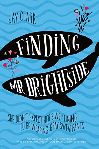 9781250073655: Finding Mr. Brightside