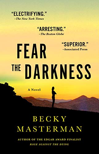 9781250073938: Fear the Darkness: A Novel (Brigid Quinn Series, 2)