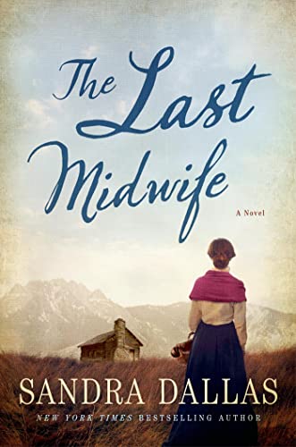 Imagen de archivo de The Last Midwife: A Novel a la venta por Blue Vase Books