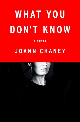 9781250075536: What You Don't Know: A Novel