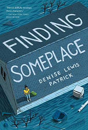 9781250079824: FINDING SOMEPLACE