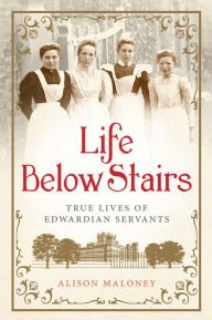 Beispielbild fr Life Below Stairs: True Lives of Edwardian Servants zum Verkauf von Wonder Book