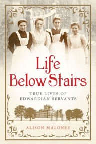 Stock image for Life Below Stairs: True Lives of Edwardian Servants for sale by Wonder Book