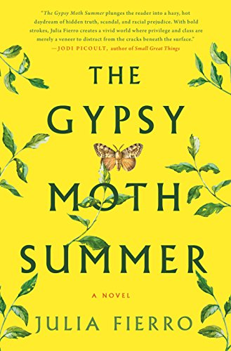 Beispielbild fr The Gypsy Moth Summer : A Novel zum Verkauf von Better World Books