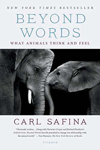 Imagen de archivo de Beyond Words: What Animals Think and Feel a la venta por ThriftBooks-Atlanta