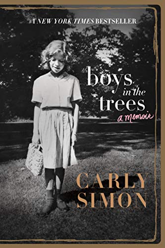 9781250095916: Boys in the trees: A Memoir