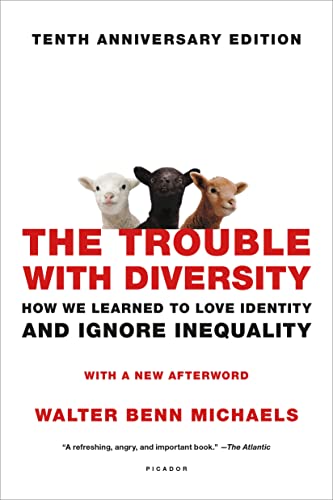 Beispielbild fr The Trouble with Diversity: How We Learned to Love Identity and Ignore Inequality zum Verkauf von BooksRun