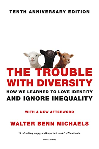 Stock image for The Trouble with Diversity: How We Learned to Love Identity and Ignore Inequality for sale by BooksRun