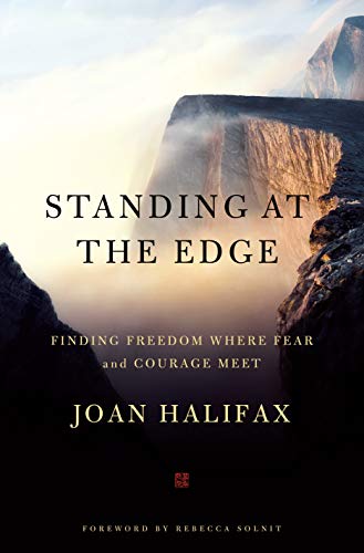 Stock image for Standing At the Edge Finding Freedom Where Fear and Courage Meet for sale by True Oak Books