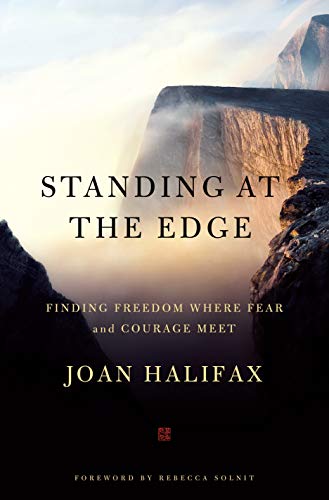 9781250101358: Standing at the Edge: Finding Freedom Where Fear and Courage Meet