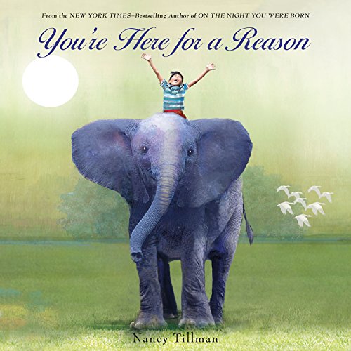 Beispielbild fr You're Here for a Reason (Nancy Tillman Collection) zum Verkauf von Wonder Book