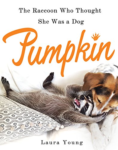 Imagen de archivo de Pumpkin: The Raccoon Who Thought She Was a Dog a la venta por SecondSale