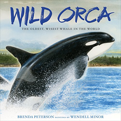 Stock image for Wild Orca : The Oldest, Wisest Whale in the World for sale by Better World Books: West