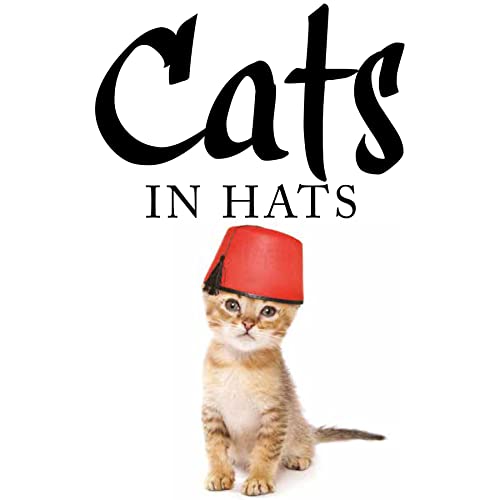 Beispielbild fr Cats in Hats zum Verkauf von Better World Books