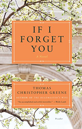 Beispielbild fr If I Forget You: A Novel zum Verkauf von BooksRun