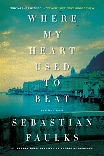 Beispielbild fr Where My Heart Used to Beat: A Novel zum Verkauf von More Than Words