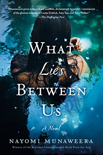Stock image for What Lies Between Us: A Novel for sale by BooksRun