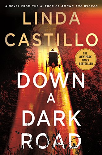 Beispielbild fr Down a Dark Road : A Kate Burkholder Novel zum Verkauf von Better World Books