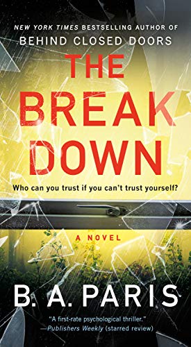Beispielbild fr The Breakdown: A Novel zum Verkauf von Gulf Coast Books