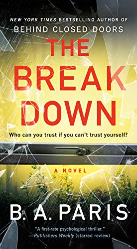 Imagen de archivo de The Breakdown: A Novel a la venta por SecondSale