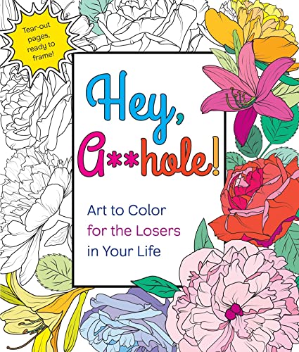 Beispielbild fr Hey, A**hole: Art to Color for the Losers in Your Life zum Verkauf von SecondSale
