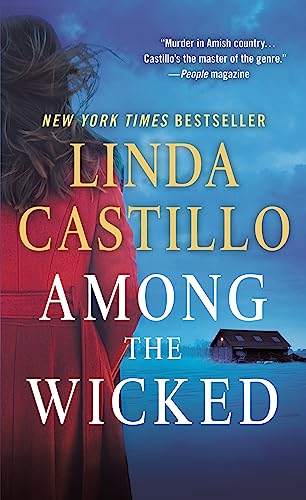 Stock image for Among the Wicked: A Kate Burkholder Novel for sale by SecondSale