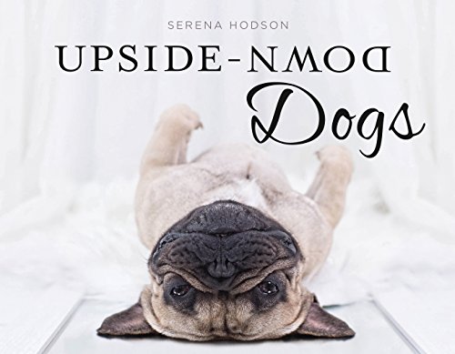 Imagen de archivo de Upside Down Dogs a la venta por BookHolders