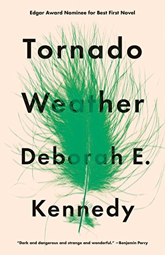 Stock image for Tornado Weather: A Novel for sale by Wonder Book