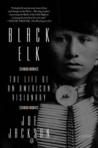 Imagen de archivo de Black Elk: The Life of an American Visionary a la venta por Abacus Bookshop