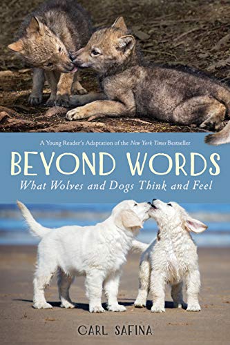 Imagen de archivo de Beyond Words: What Wolves and Dogs Think and Feel (A Young Reader's Adaptation) a la venta por SecondSale
