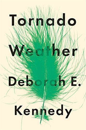 Stock image for Tornado Weather for sale by Wonder Book