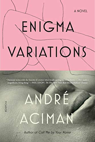 Beispielbild fr Enigma Variations: A Novel zum Verkauf von SecondSale