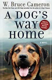 Stock image for A Dog's Way Home: One Dog's Incredible Journey to Find Her Person for sale by SecondSale
