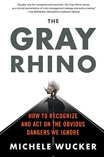 Imagen de archivo de The Gray Rhino: How to Recognize and Act on the Obvious Dangers We Ignore a la venta por HPB-Red