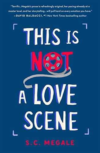 Imagen de archivo de This Is Not a Love Scene: A Novel a la venta por SecondSale