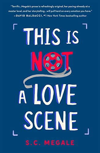 Stock image for This Is Not a Love Scene: A Novel for sale by Your Online Bookstore