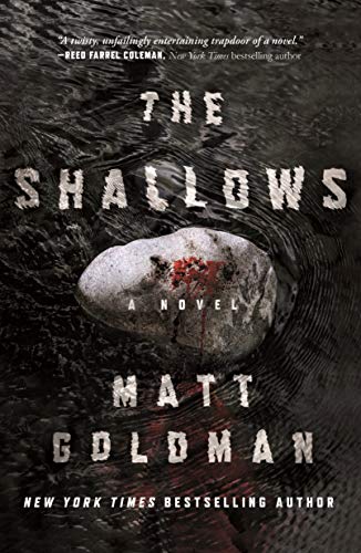 9781250191311: The Shallows: A Nils Shapiro Novel (Nils Shapiro, 3)