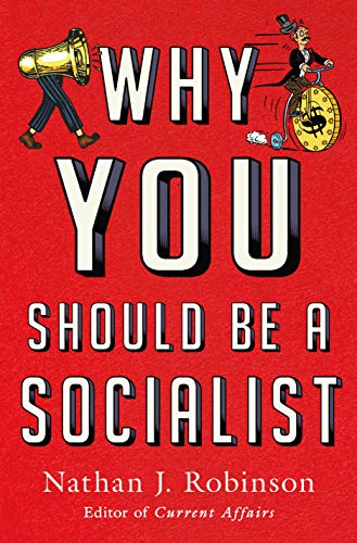 9781250200860: Why You Should Be a Socialist