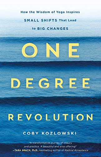 Stock image for One Degree Revolution: How Small Shifts Lead to Big Changes for sale by Hippo Books