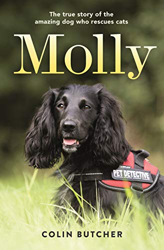 Stock image for Molly: The True Story of the Amazing Dog Who Rescues Cats for sale by Your Online Bookstore