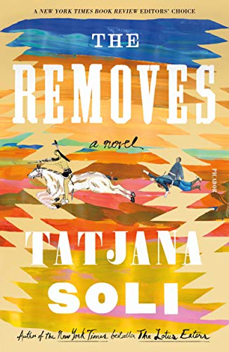 9781250215031: The Removes: A Novel