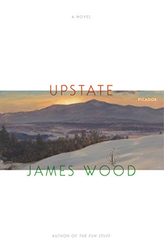 Imagen de archivo de Upstate : A Novel a la venta por Better World Books