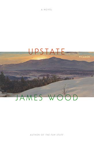 Stock image for Upstate : A Novel for sale by Better World Books